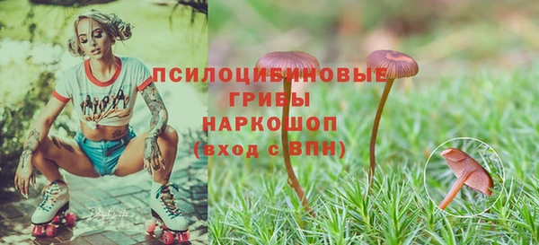 герыч Заводоуковск