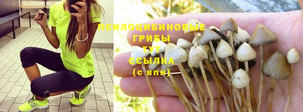 mdpv Заволжье