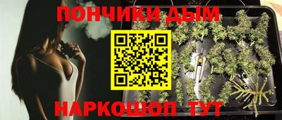 ГАЛЛЮЦИНОГЕННЫЕ ГРИБЫ Краснокаменск